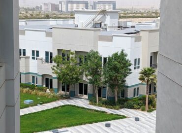 American University in the Emirates