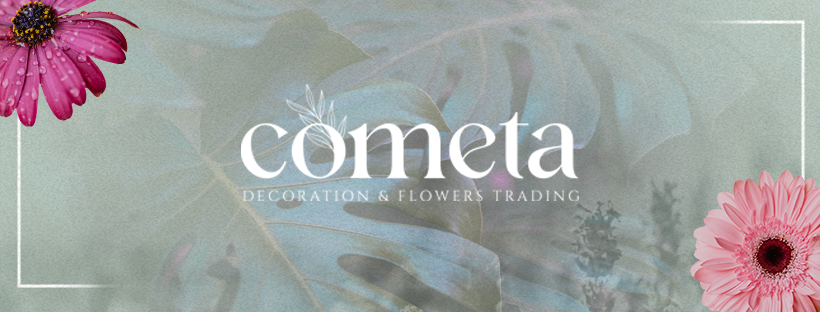 cometa decoration