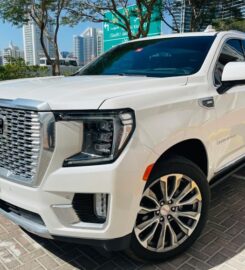 Skye VIP Limousine Dubai | Best Limo Service Dubai, UAE