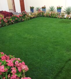 Green Glades Plant Nursery | Landscaping Company Dubai, UAE