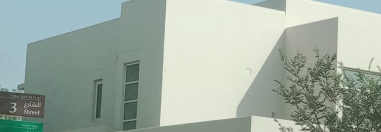 1 Villa Panting Services Dubai