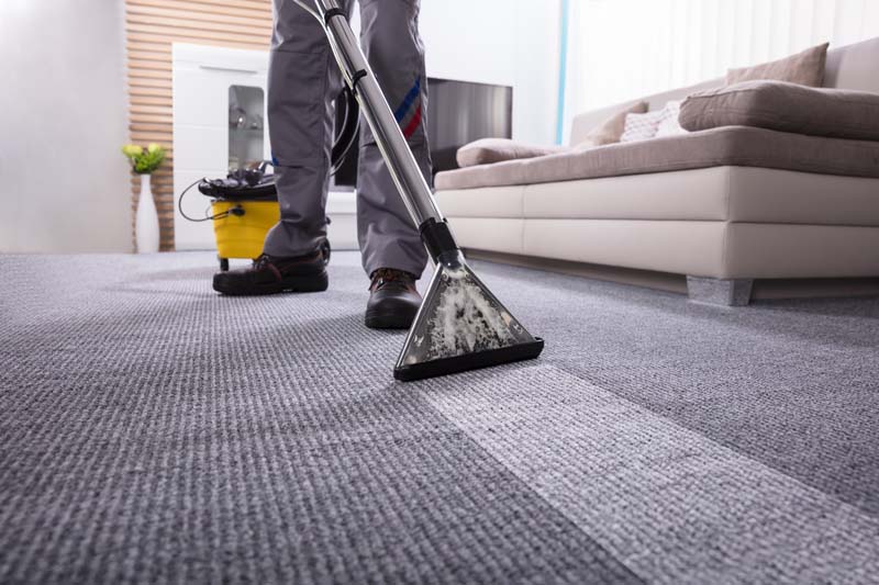 Carpet Cleaning 1079107034