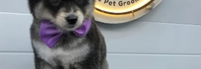 Fluffy Tails – Mobile Pet Grooming in Doha, Qatar