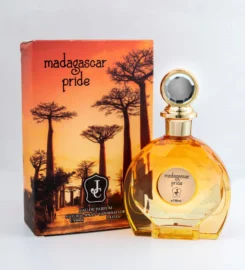 Slekora – Luxury Perfumes, Fashion & Lifestyle in UAE