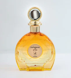 Slekora – Luxury Perfumes, Fashion & Lifestyle in UAE