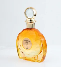 Slekora – Luxury Perfumes, Fashion & Lifestyle in UAE