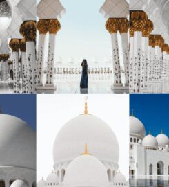 Desert Birds Tourism | Travel Agency in Dubai, UAE