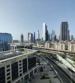 The Go-To Guy! Digital Marketing Agency in Dubai, UAE