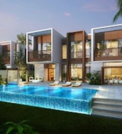 Aims Across Real Estate Brokers in Dubai, UAE