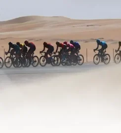 Ridgeworx | Premium Bicycles and High-Performance Cycling Gear