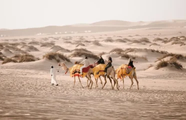 247 CHARTERS TOURS AND TRAVELS in Qatar