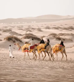 247 CHARTERS TOURS AND TRAVELS in Qatar