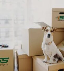 ISS Relocations International Relocation Services in the UAE