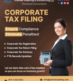 Premier Auditing & Accounting (PAA): Chartered Accounting Firm in Dubai, UAE