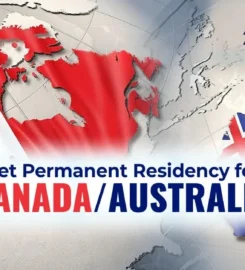 Trenity Consultants Kuwait | Best Immigration Consultants in Salmiya