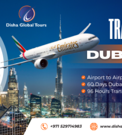 Disha Global Tours LLC | International Travel Agency in the UAE