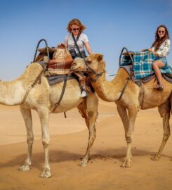 Morning Desert Safari Dubai | Best Desert Safari in the UAE