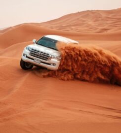 Morning Desert Safari Dubai | Best Desert Safari in the UAE
