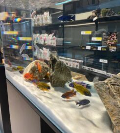Nature’s Nook | Aquatic Design Studio in the UAE | Fresh Water & Marine Aquariums