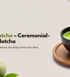 Rhea Matcha – Ceremonial Matcha Powder Dubai