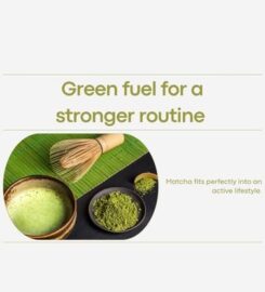 Rhea Matcha – Ceremonial Matcha Powder Dubai