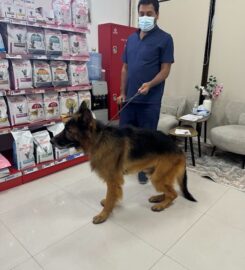 Tree Pet Veterinary Clinic in Sharjah