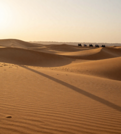 Morning Desert Safari Dubai | Best Desert Safari in the UAE