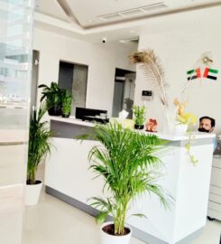 Right Way Translation | Legal Translation in Dubai