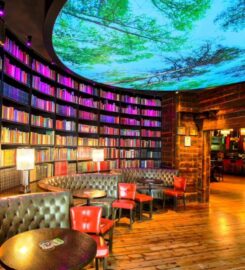 ADESTA LIGHTING | Premium Lighting Products in Dubai, UAE