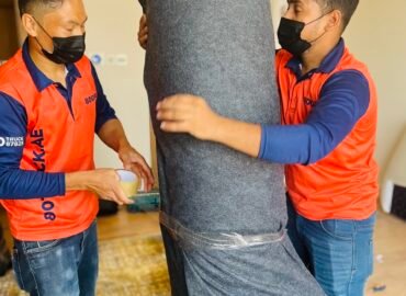 800 Truck | Best Moving and Storage Company in Dubai
