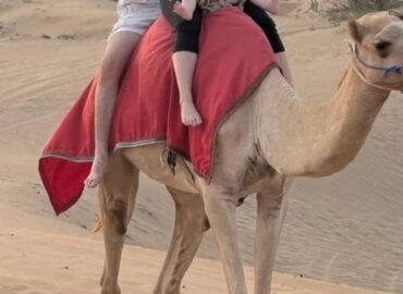 Royal Arabian Safari | Desert Safari in Dubai, Abu Dhabi
