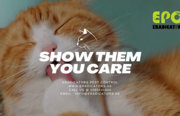Eradicators Pest Control & Cleaning Services Dubai, UAE