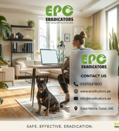 Eradicators Pest Control & Cleaning Services Dubai, UAE
